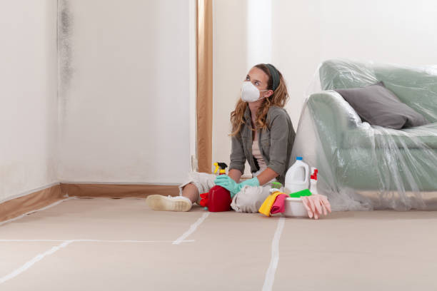 Reliable Mold Remediation contractor in Highland Park, MI by Cheap Mold Removal